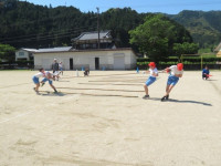 ４