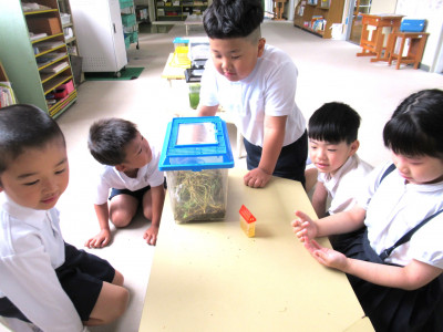0609_ (7)